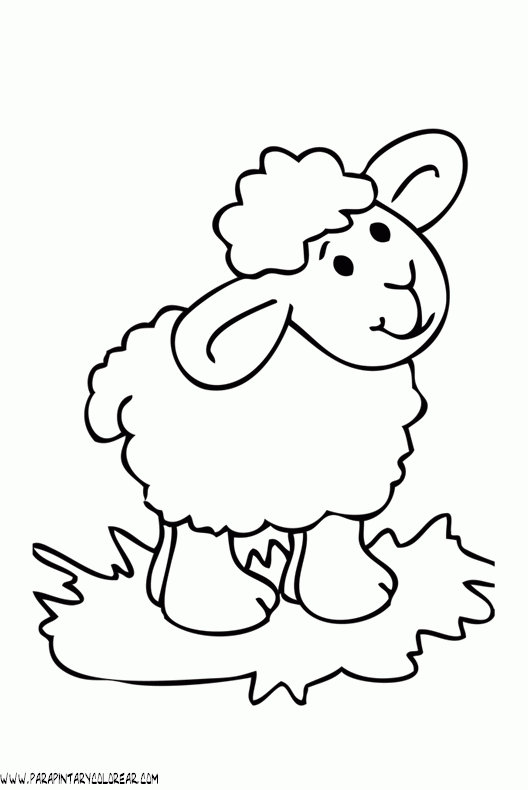 dibujos-de-ovejas-033