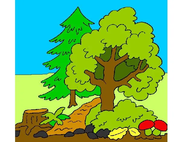 Dibujos de Paisajes para Colorear - Dibujos.net