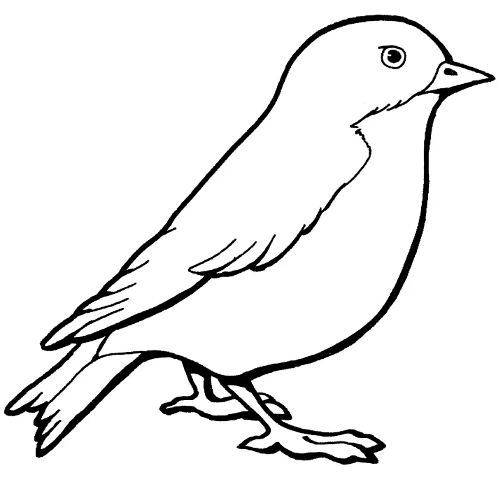 Dibujos de pájaros para colorear, descargar e imprimir | Colorear imágenes Dibujos de pájaros para colorear, descargar e imprimir | Colorear imágenes