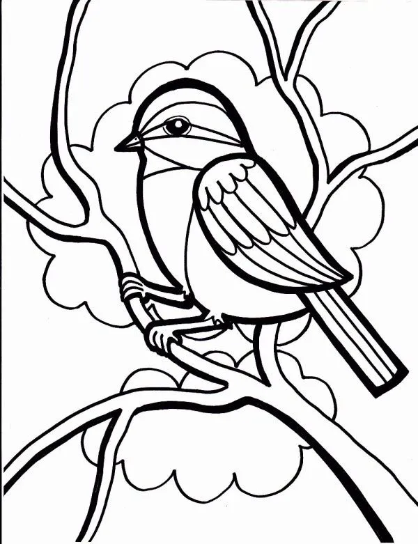 Dibujos de pájaros para colorear, descargar e imprimir | Colorear imágenes Dibujos de pájaros para colorear, descargar e imprimir | Colorear imágenes