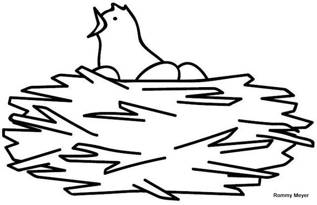 Dibujo de nidos de aves para colorear - Imagui