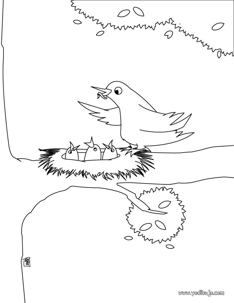 Dibujos PAJAROS para colorear, nido de pájaro para imprimir Dibujos PAJAROS para colorear, nido de pájaro para imprimir