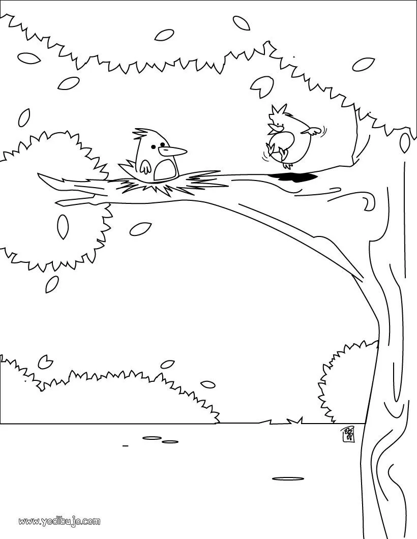 Dibujos PAJAROS para colorear, nido de pájaros para imprimir Dibujos PAJAROS para colorear, nido de pájaros para imprimir