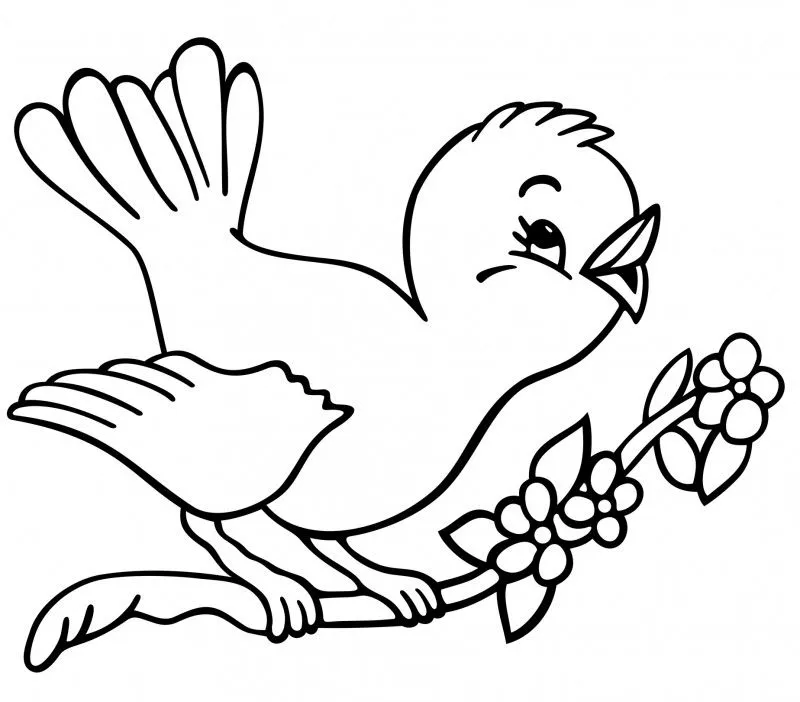 Dibujos de PÁJAROS (Para Colorear y Pintar) Dibujos de PÁJAROS (Para Colorear y Pintar)