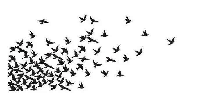 Dibujos Pajaros Volando Pictures Dibujo De Pajaro Pintado Por ... Dibujos Pajaros Volando Pictures Dibujo De Pajaro Pintado Por ...
