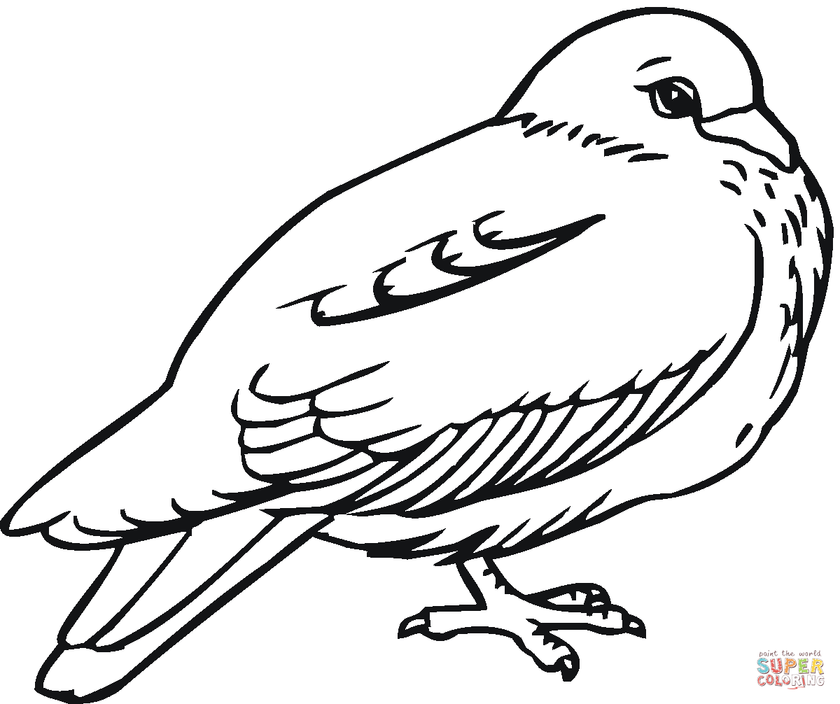 Dibujos de Palomas para colorear - Páginas para imprimir y ...