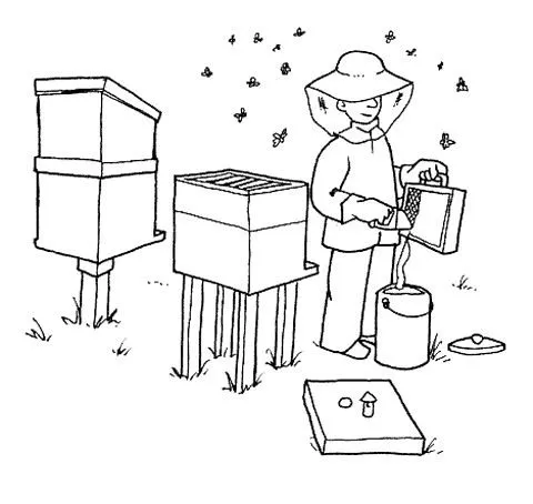 Dibujos de panales de abejas para colorear - Imagui
