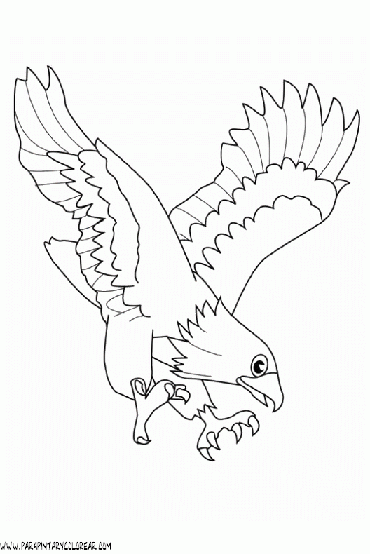 Dibujo de aguila para colorear - Imagui