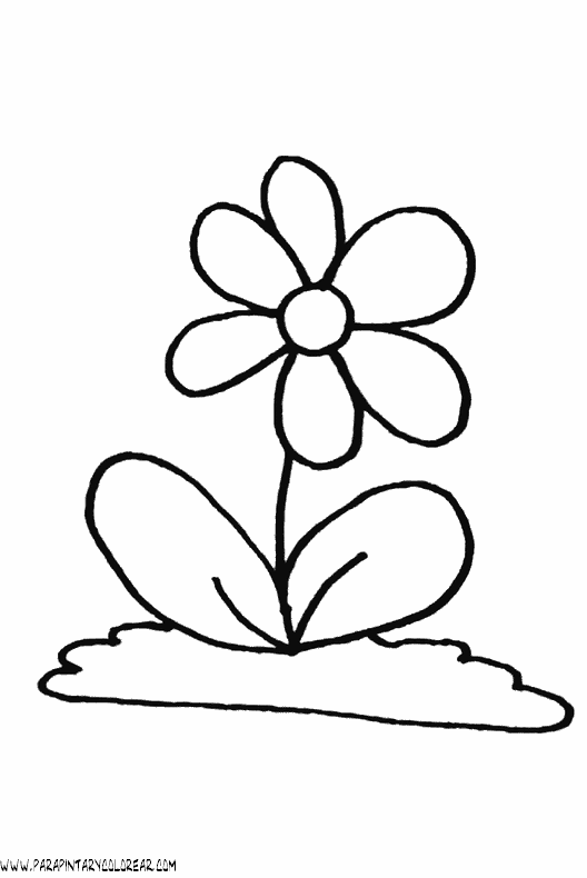 dibujos-para-colorear-de-flores-013