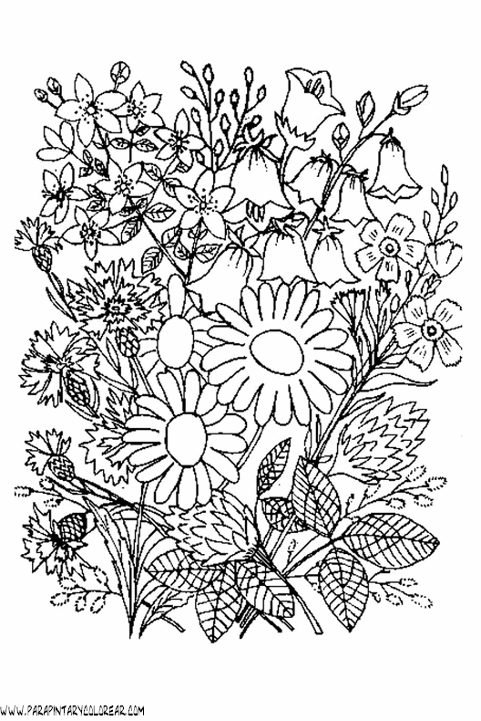 dibujos-para-colorear-de-ramos-de-flores-017 dibujos-para-colorear-de-ramos-de-flores-017