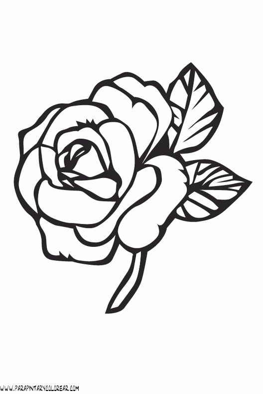 Rasas para pntar - Imagui