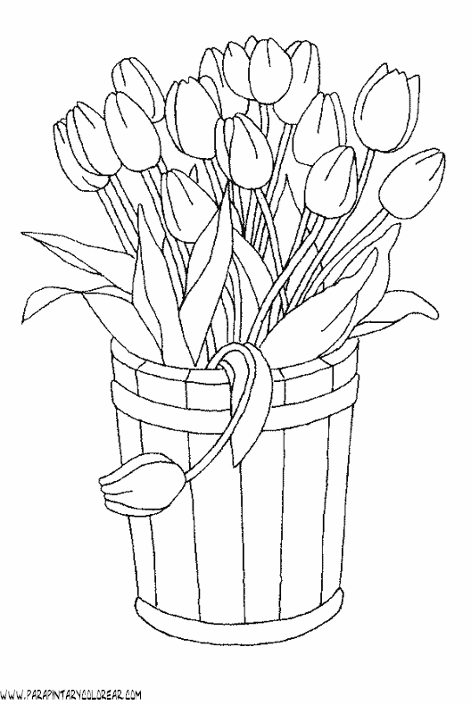 dibujos-para-pintar-de-flores-tulipanes-010