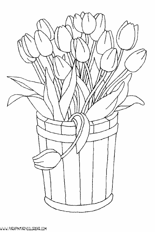 dibujos-para-pintar-de-flores-tulipanes-010 dibujos-para-pintar-de-flores-tulipanes-010