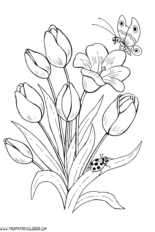 dibujos-para-pintar-de-flores-tulipanes-019 | Moldes Bordado ...