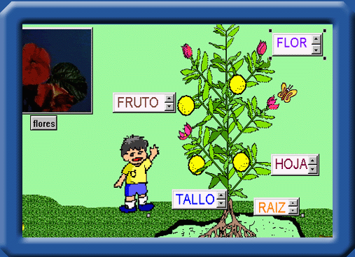 Dibujos partes de una planta - Imagui