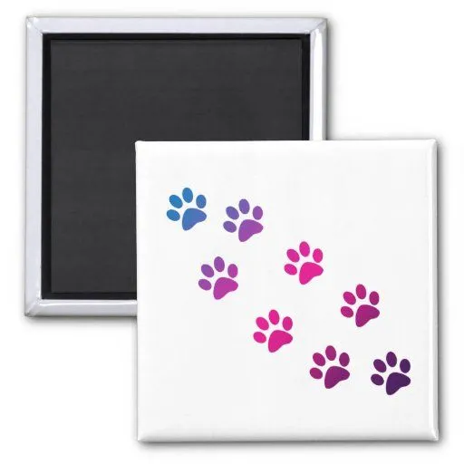 Fotos de patitas de gatos - Imagui