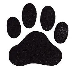 Imagenes de patitas de perritos - Imagui