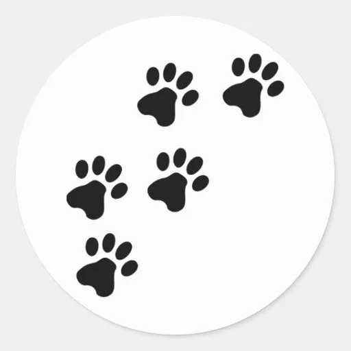 perrito lindo negro de las patas del perro pegatinas de Zazzle. perrito lindo negro de las patas del perro pegatinas de Zazzle.