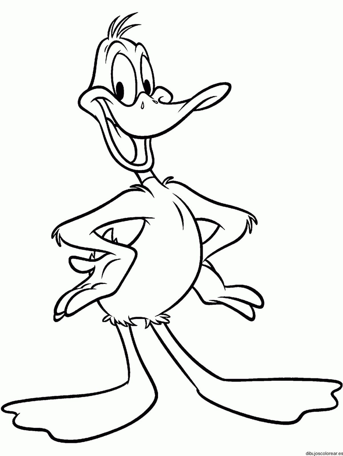 Dibujos del Pato Lucas para colorear | Dibujos para Niños Dibujos del Pato Lucas para colorear | Dibujos para Niños