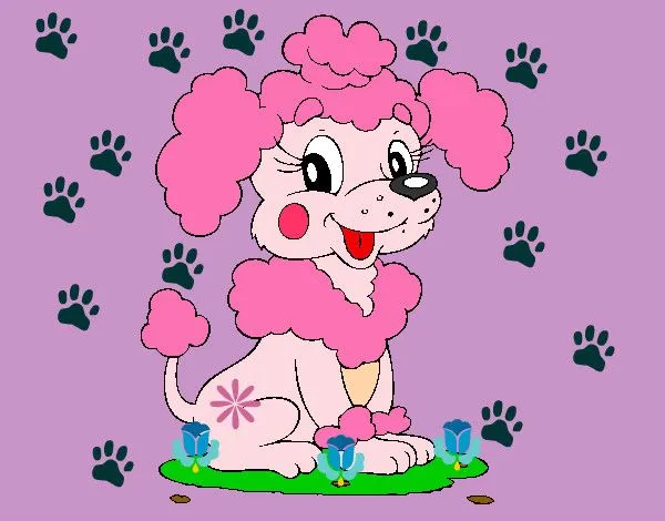 Dibujo de poodle pintado por Kiaraporta en Dibujos.net el día 12 ...
