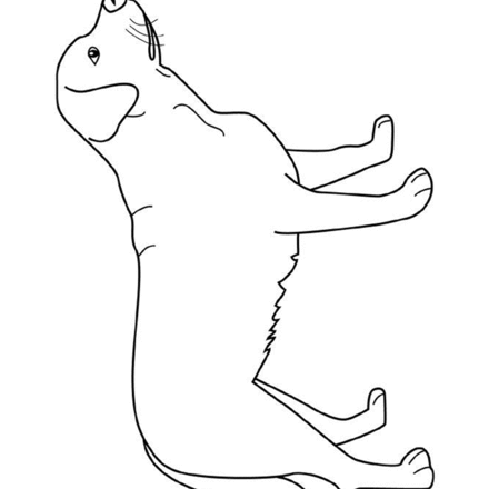 Dibujos PERROS para colorear : 40 dibujos de animales para ...