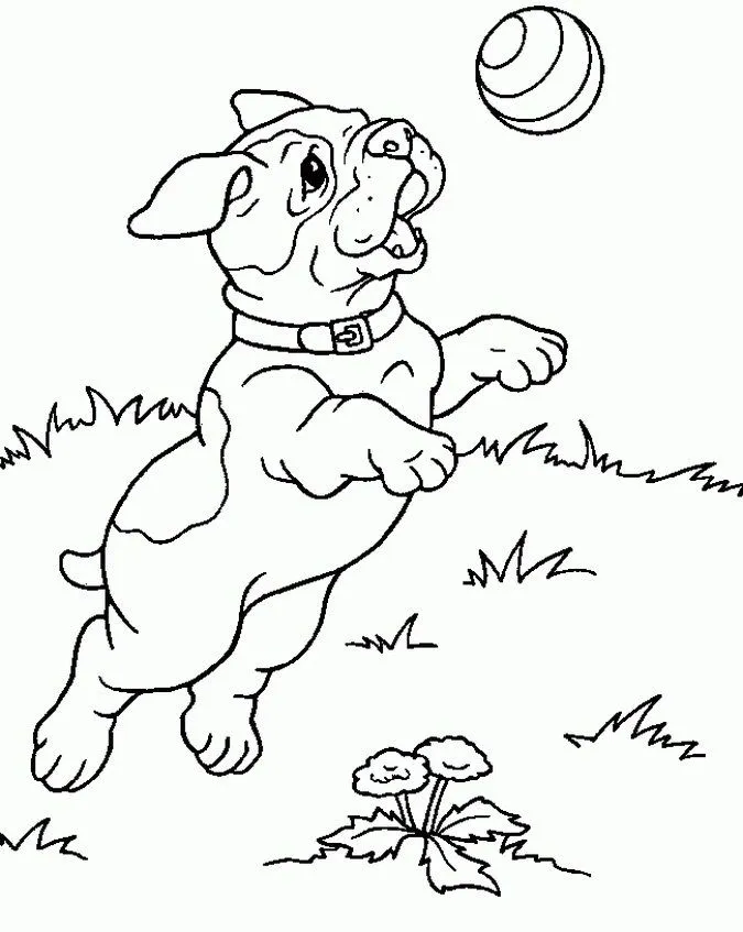 Dibujos de perros para colorear. Dibujos de razas de perros para ... Dibujos de perros para colorear. Dibujos de razas de perros para ...