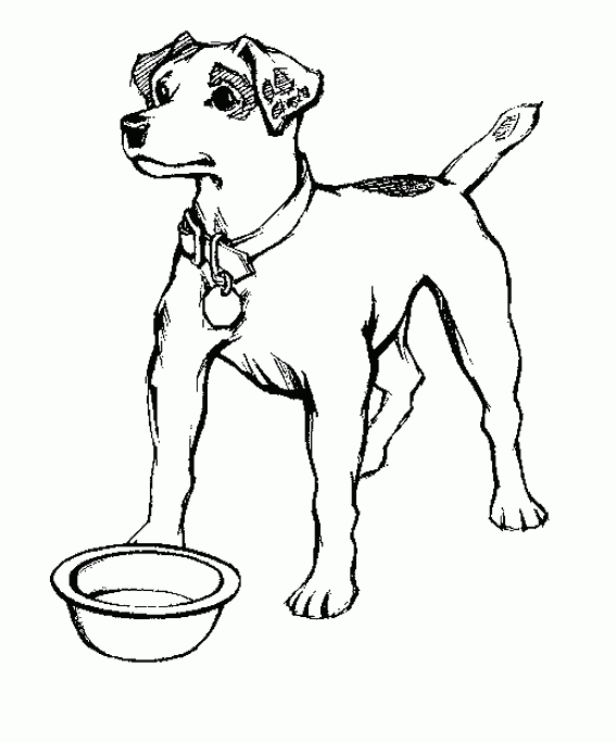 Dibujos de razas de perros para pintar. PerrosAmigos.com