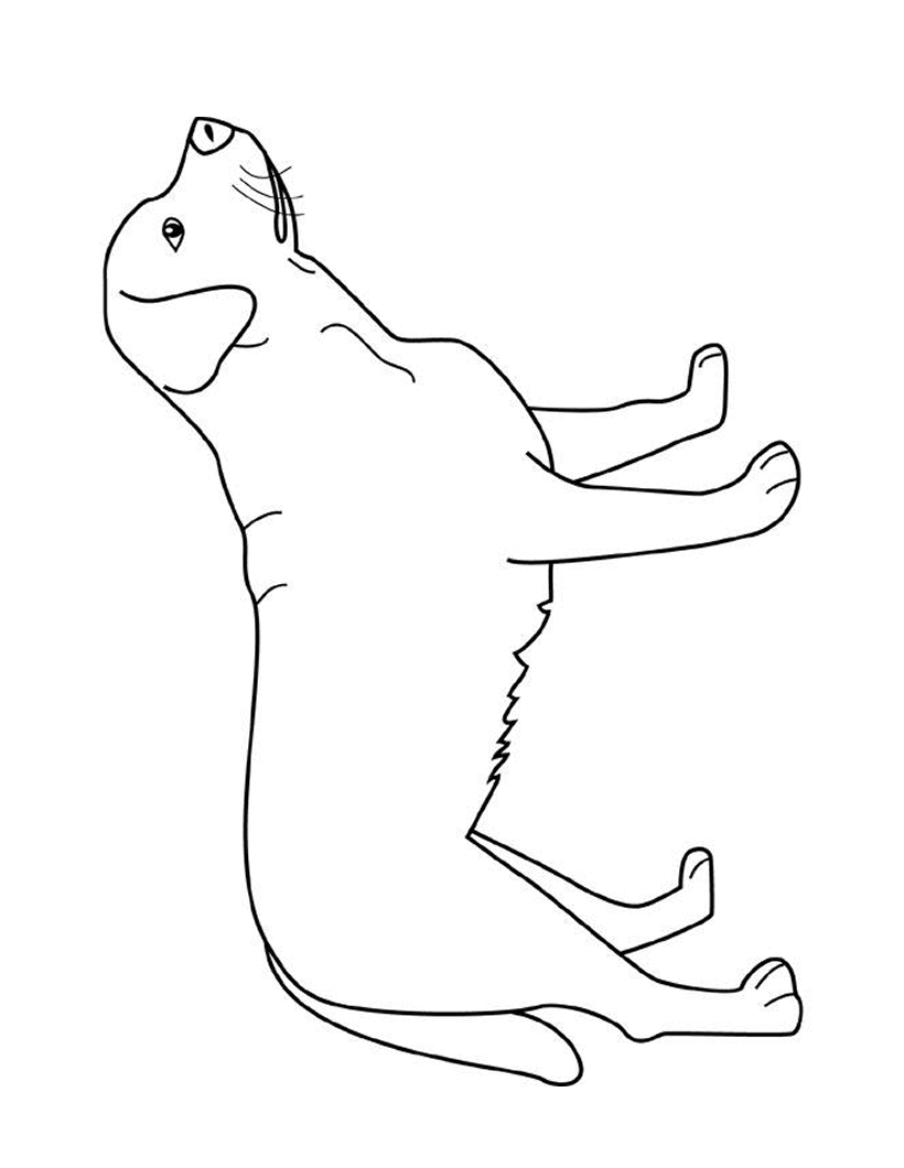 Dibujos PERROS para colorear, un perro labrador para imprimir Dibujos PERROS para colorear, un perro labrador para imprimir