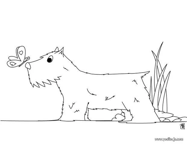 Dibujos PERROS para colorear, un perro Labrador para imprimir