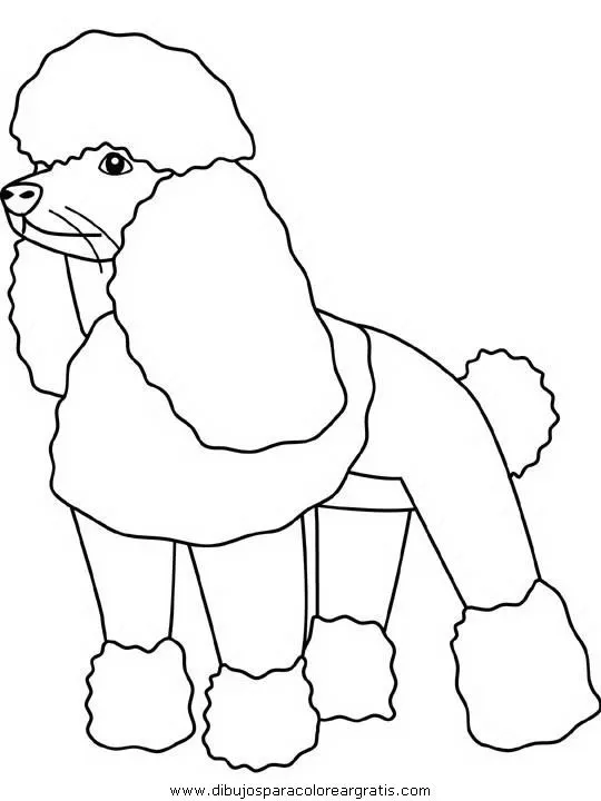 Imagenes para colorear de perros french poodle - Imagui