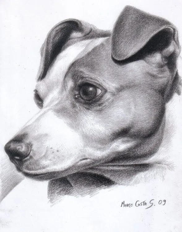 Dibujo a lapiz de perros - Imagui