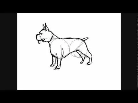 Dibujos de perros :perro Boxer - Dibujos para Pintar - YouTube Dibujos de perros :perro Boxer - Dibujos para Pintar - YouTube