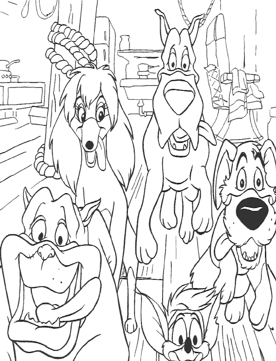 Ocio | Perros