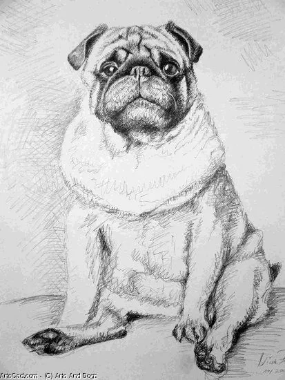 Como dibujar un perro pug - Imagui