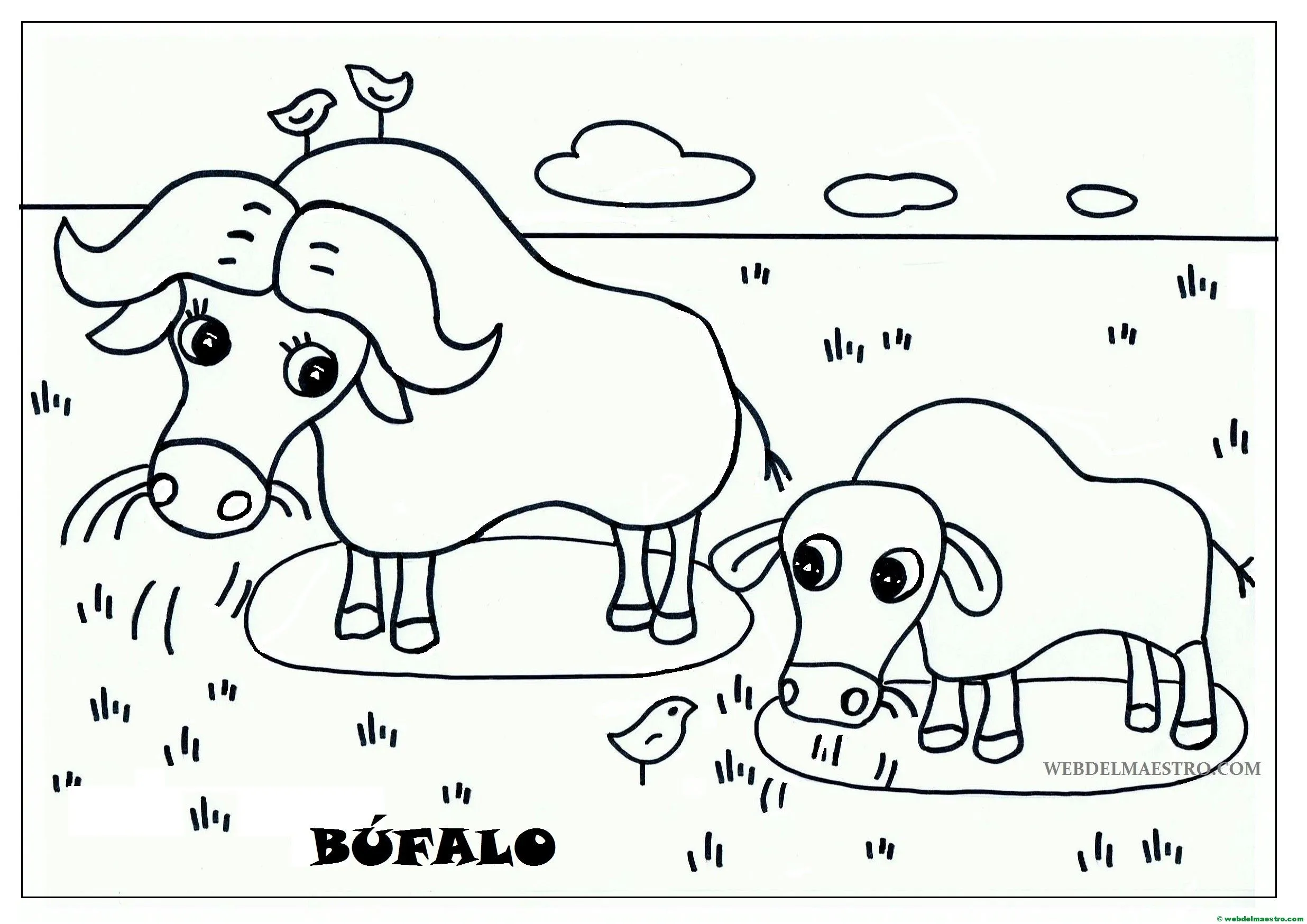 Dibujos para pintar | Animales y sus crías - Web del maestro Dibujos para pintar | Animales y sus crías - Web del maestro