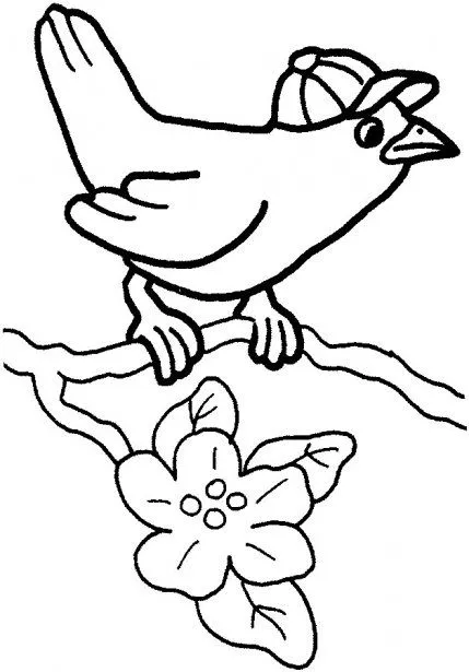 Dibujos del turpial para pintar - Imagui