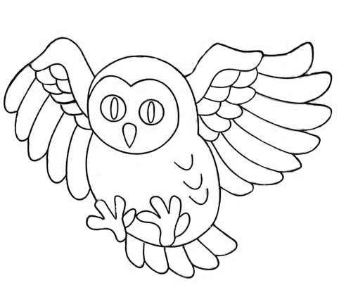 Una lechuza para dibujar - Imagui