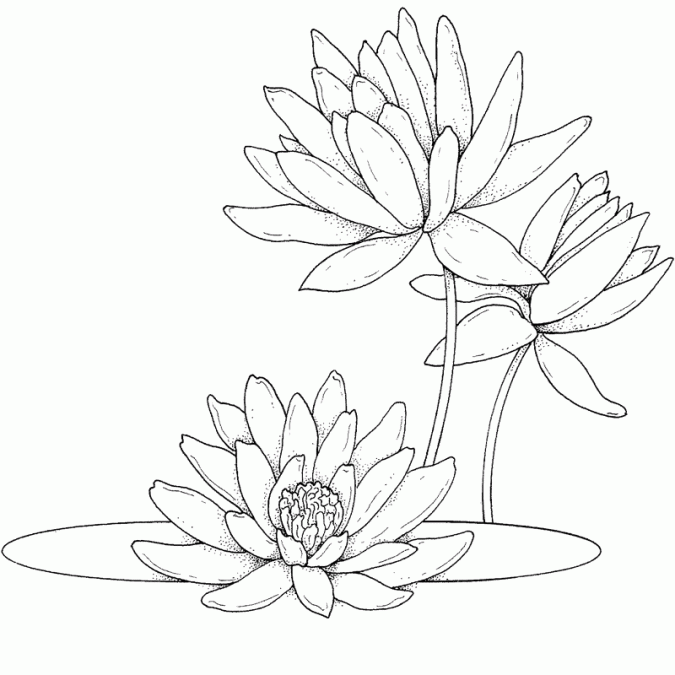 Dibujos para pintar en tela flores | Margaritas | Dibujos para ... Dibujos para pintar en tela flores | Margaritas | Dibujos para ...