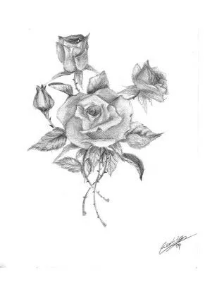 hecho en lapiz rosas para una amiga que me pidio un diseno de tatuaje ... hecho en lapiz rosas para una amiga que me pidio un diseno de tatuaje ...