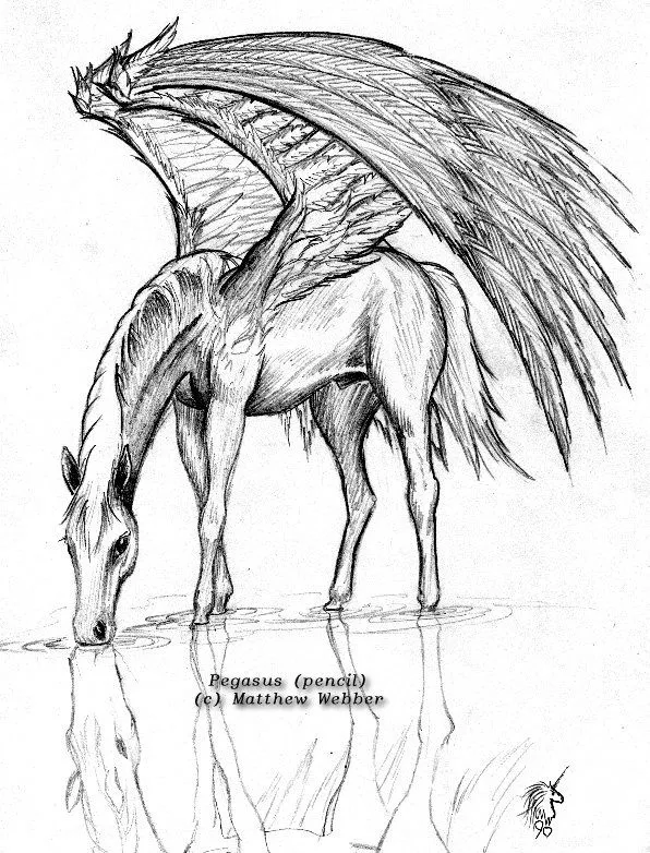 Dibujos y pinturas de pegasos. | Quiero más diseño