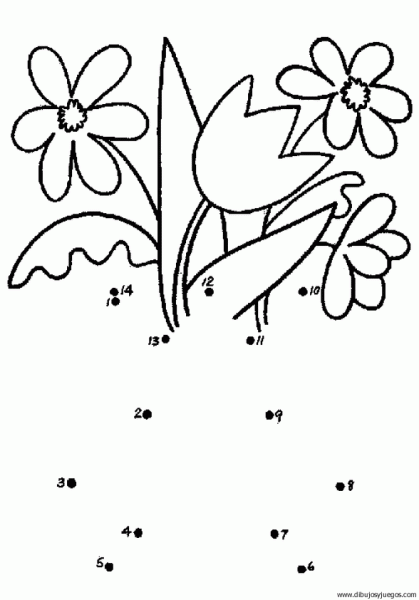 Dibujo de plantas acuáticas para colorear - Imagui