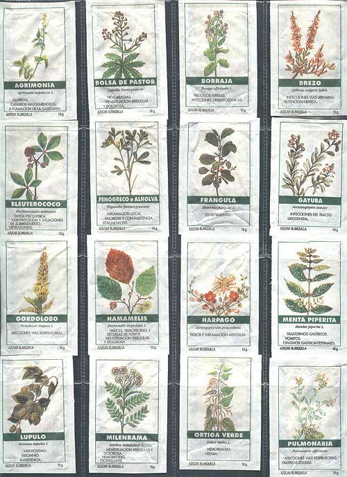 Imágenes de plantas medicinales con sus nombres - Imagui