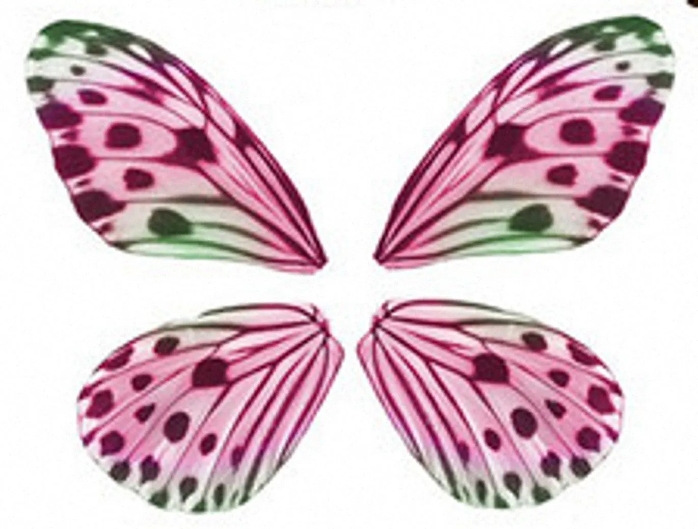 Dibujos y Plantillas para imprimir: Alas mariposas para hadas Dibujos y Plantillas para imprimir: Alas mariposas para hadas