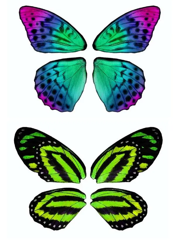Dibujos y Plantillas para imprimir: Alas mariposas para hadas Dibujos y Plantillas para imprimir: Alas mariposas para hadas