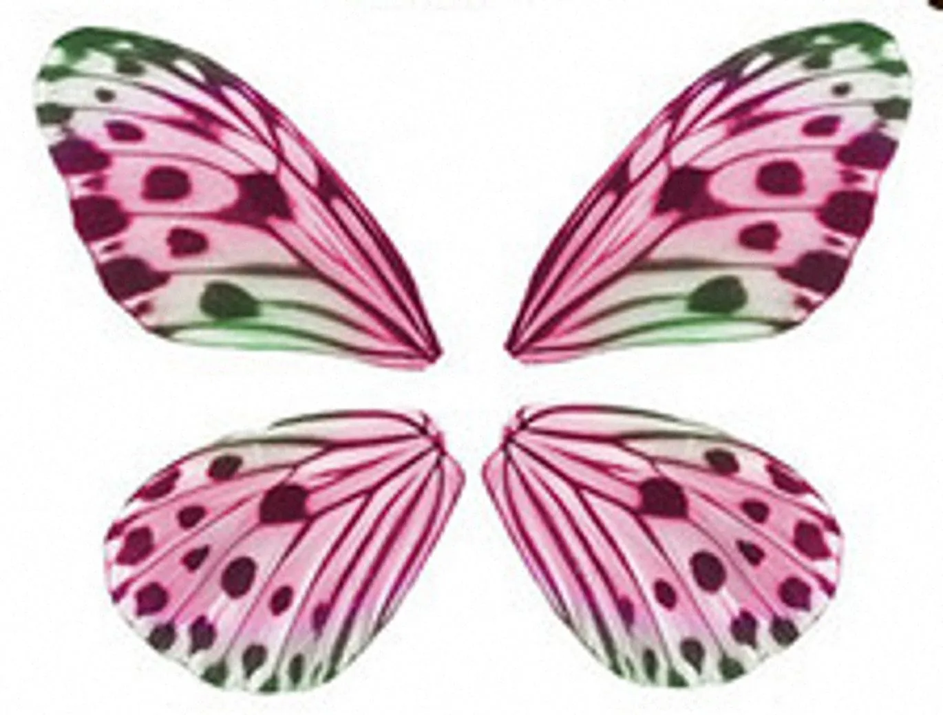 alas de mariposa de papel - Buscar con Google  Mariposas para colorear,  Mariposas para imprimir, Moldes de mariposas