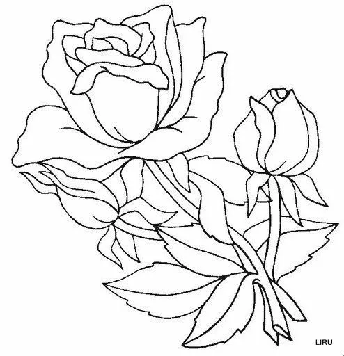 Dibujos y Plantillas para imprimir: Tulipanes Dibujos y Plantillas para imprimir: Tulipanes