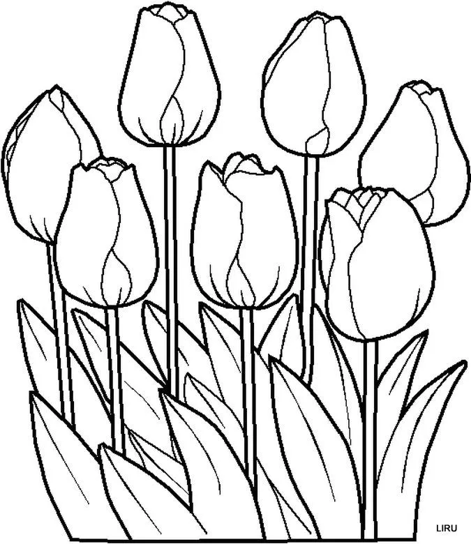 Dibujos y Plantillas para imprimir: Tulipanes Dibujos y Plantillas para imprimir: Tulipanes