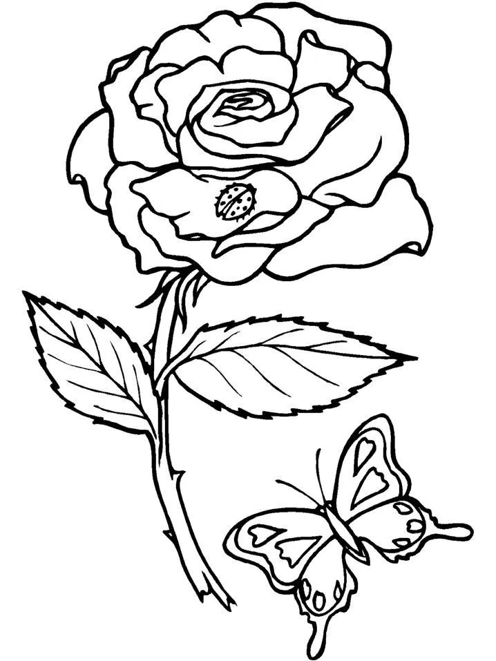 Dibujos y Plantillas para imprimir: Dibujos de flores Dibujos y Plantillas para imprimir: Dibujos de flores