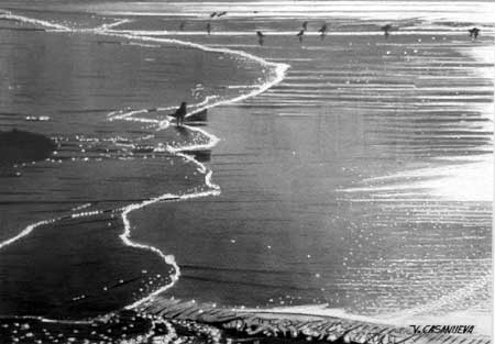 Dibujos de playas a lapiz - Imagui