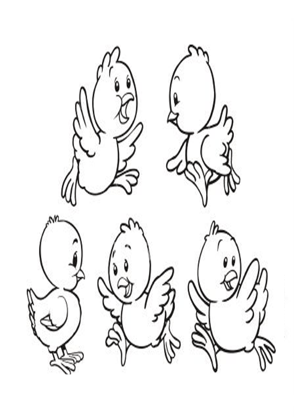 Dibujos de Pollitos para colorear e imprimir | Dibujos para Niños Dibujos de Pollitos para colorear e imprimir | Dibujos para Niños